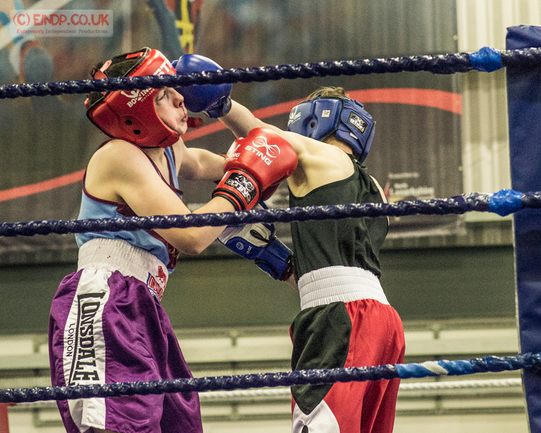 Boxing-novice-chamionships-Ravenscraig-Nov-2016