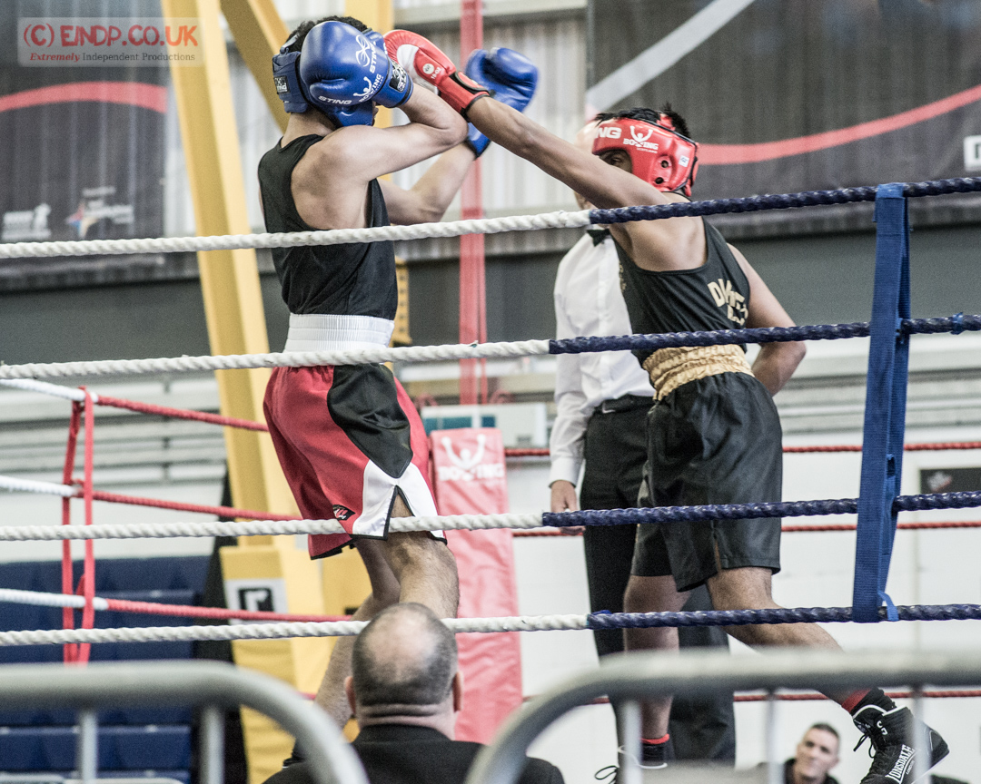 Boxing-novice-championships-Ravenscraig-Nov-2016